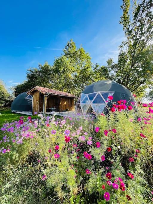 Dome Insolite Lichen Jacuzzi Et Petits-Dejeuners Inclus Gondrin エクステリア 写真